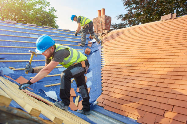 Best Roof Moss and Algae Removal  in Gibsonburg, OH